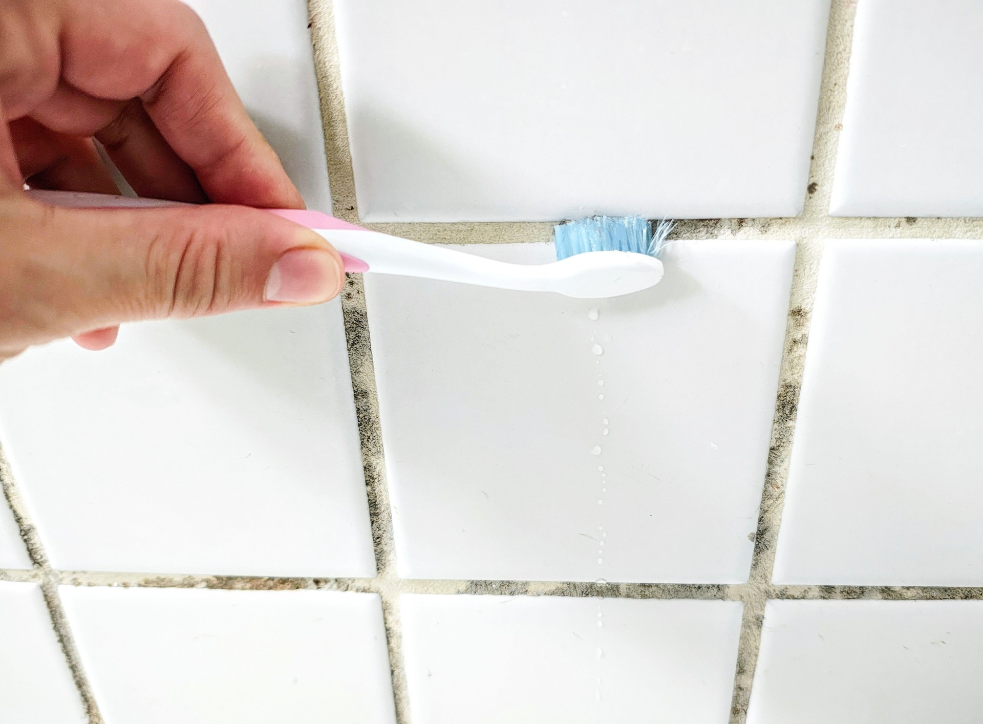 Person cleaning moldy grout on bathroom tiles with a toothbrush